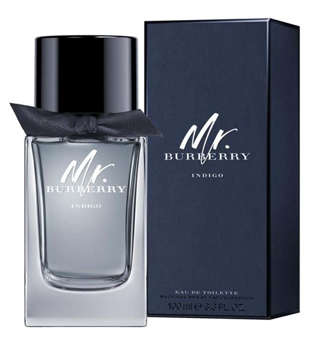 duft burberry indigo|mr Burberry indigo perfume.